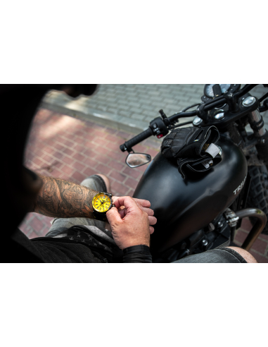 Vostok Europe Energia GMT NH34-575C719S Montre - 3