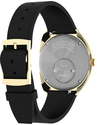 Timex Q Timex Reissue TW2V25400 Uhr - 2