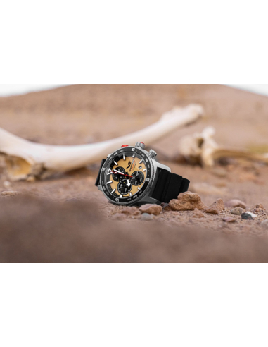 Vostok Europe Expedition SAHARA Route of Tuaregs Limited Edition 6S10-598A753 Watch
