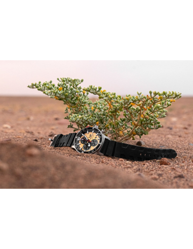 Vostok Europe Expedition SAHARA Route of Tuaregs Limited Edition 6S10-598A753 Watch