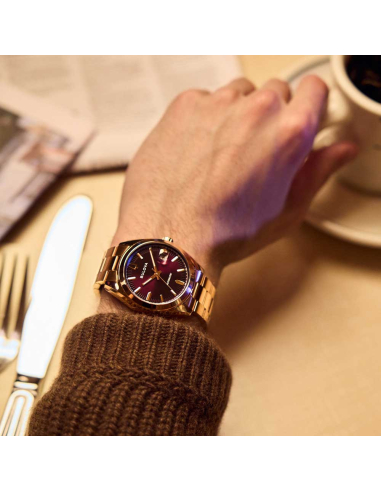Bulova Surveyor Automatic 97B234 Watch