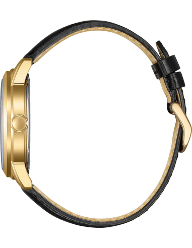 Citizen Elegant AW0153-04AC Watch