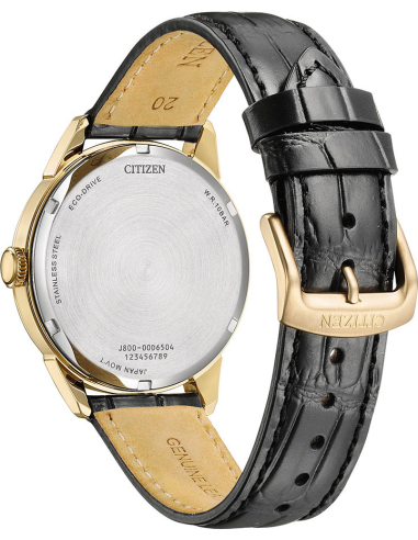 Citizen Elegant AW0153-04AC Watch