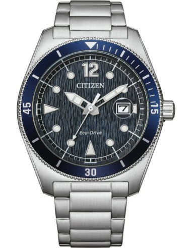 Citizen Eco-Drive AW1881-52L Watch