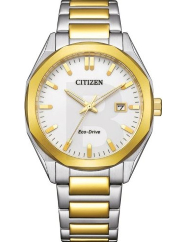 Citizen Eco-Drive BM7624-82A Watch