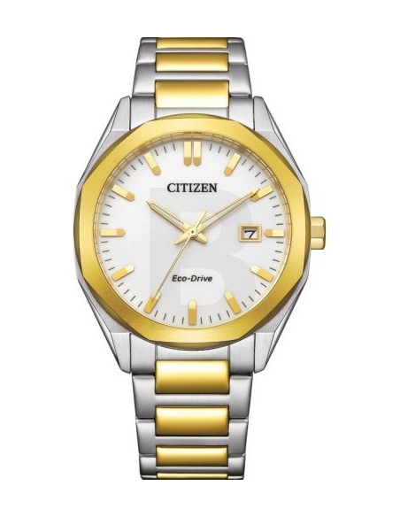Citizen Eco-Drive BM7624-82A Watch