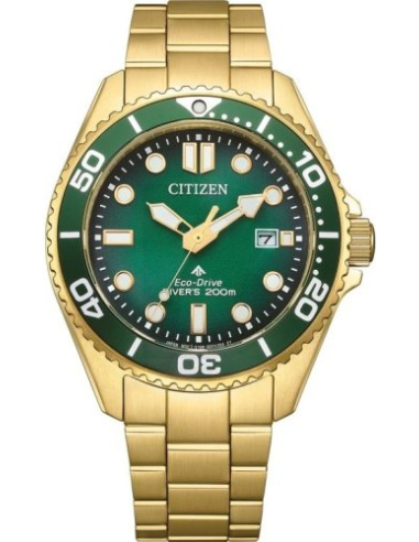 Citizen Promaster BN0262-59W Watch