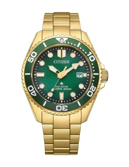 Citizen Promaster BN0262-59W Watch
