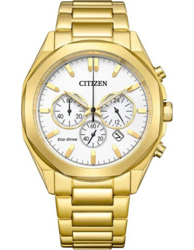 Citizen Eco-Drive CA4592-85A Watch