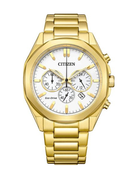 Citizen Eco-Drive CA4592-85A Watch