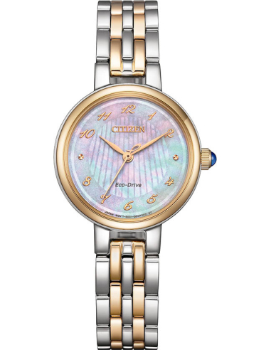 Citizen L EM0996-84Y Watch