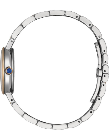 Citizen L EM0996-84Y Watch