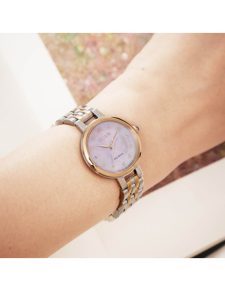 Citizen L EM0996-84Y Watch