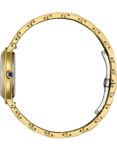Citizen L EM1092-64D Watch