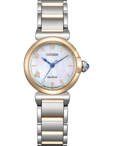 Citizen L EM1136-87D Watch