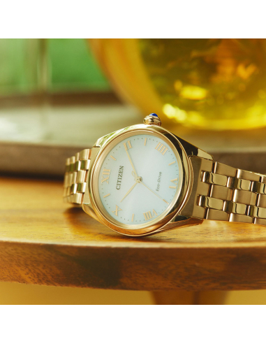 Citizen L EM1143-81X Watch