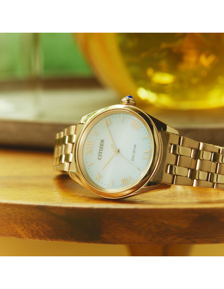 Citizen L EM1143-81X Watch