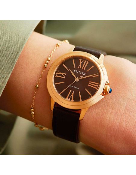 Citizen L EM1163-09X Watch