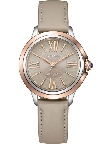 Citizen L EM1166-01Z Watch