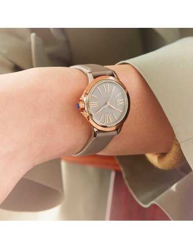 Citizen L EM1166-01Z Watch