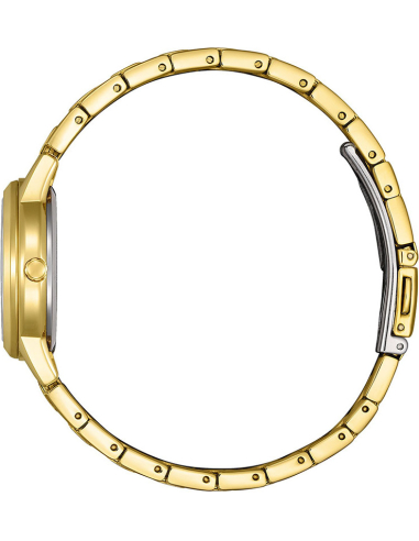Citizen CLASSIC FE1242-78D Watch