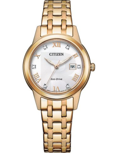 Citizen Eco-Drive FE1243-83A Watch