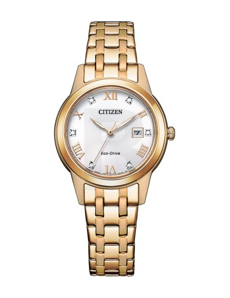 Citizen Eco-Drive FE1243-83A Watch