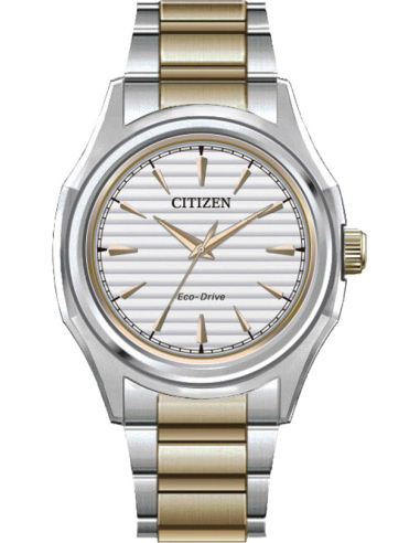 Citizen CLASSIC FE2116-85A Watch