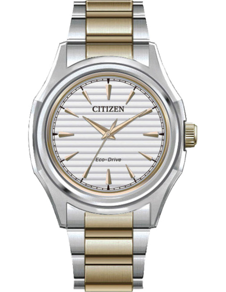 Citizen CLASSIC FE2116-85A Watch