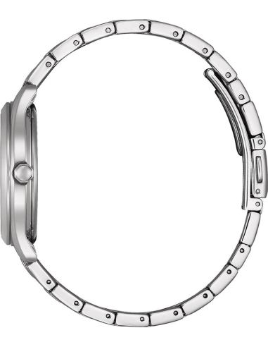 Citizen Elegant FE6121-67X Watch