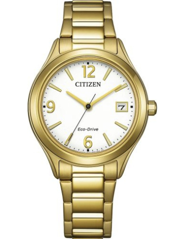 Citizen Eco-Drive FE6122-64A Watch