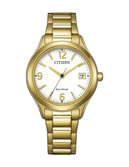 Citizen Eco-Drive FE6122-64A Watch