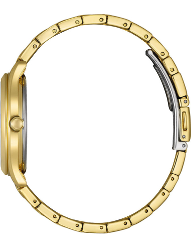 Citizen Elegant FE6122-64X Watch
