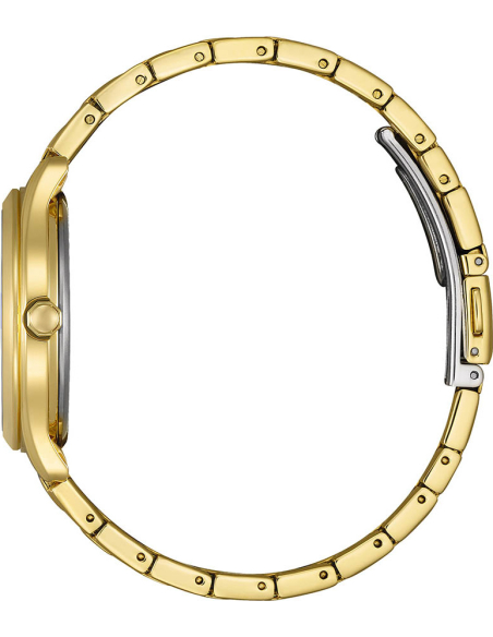 Citizen Elegant FE6122-64X Watch