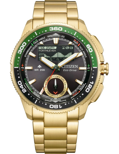 Citizen Promaster JV3002-51E Watch