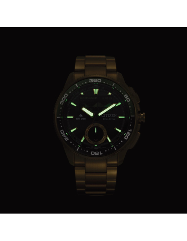 Citizen Promaster JV3002-51E Watch