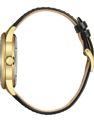Citizen Automatic NY4059-09AE Watch