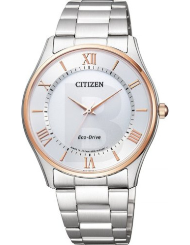 Citizen Collection BJ6484-50A Watch