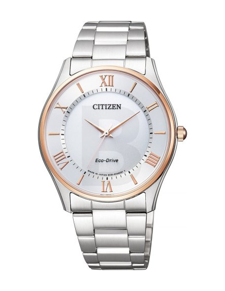 Citizen Collection BJ6484-50A Watch