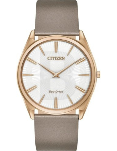 Citizen Eco-Drive AR3076-08A Watch
