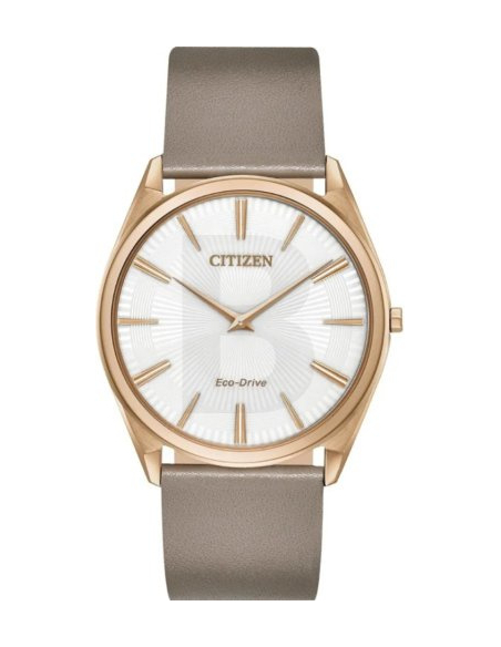 Citizen Eco-Drive AR3076-08A Watch