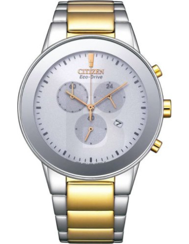 Citizen Eco-Drive AT2244-84A Watch