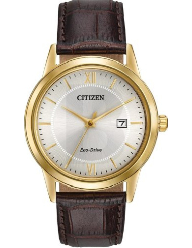 Citizen Eco-Drive AW1232-04A Watch