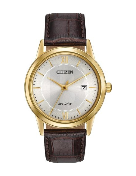 Citizen Eco-Drive AW1232-04A Watch