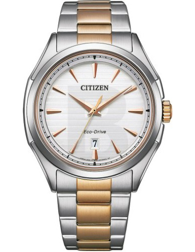 Citizen Eco-Drive AW1756-89A Watch