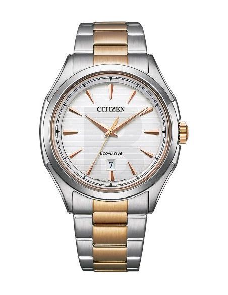 Citizen Eco-Drive AW1756-89A Watch