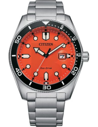 Citizen Eco-Drive AW1760-81X Watch
