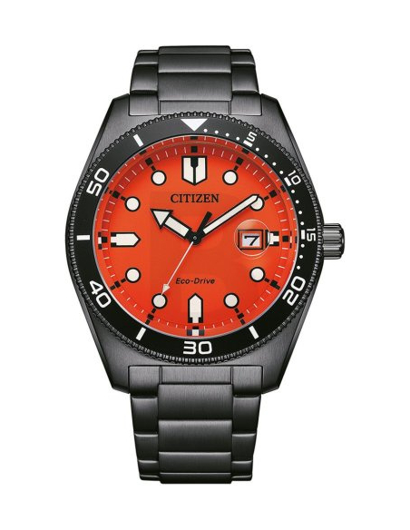 Citizen Eco-Drive AW1765-88X Watch