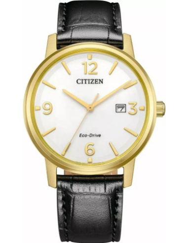 Citizen Eco-Drive BM6756-01A Watch