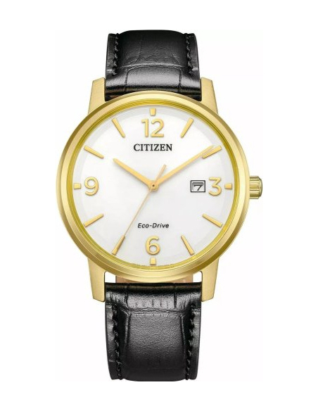 Citizen Eco-Drive BM6756-01A Watch